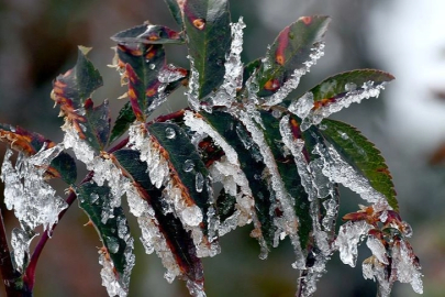 Bursa için zirai don uyarısı: Kritik saatler açıklandı!