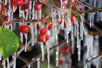 Meteoroloji’den Marmara’ya uyarı: Bu gece başlıyor