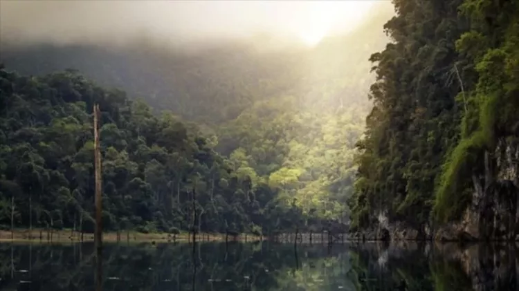 Araştırmalar endişe veriyor: Amazon için kritik dönem!-Bursa Hayat-3