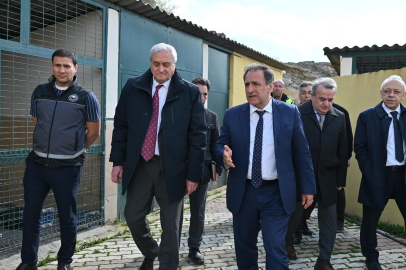 Aç köpek iddiaları gündem olmuştu: Bakanlık bölgede inceleme yaptı!