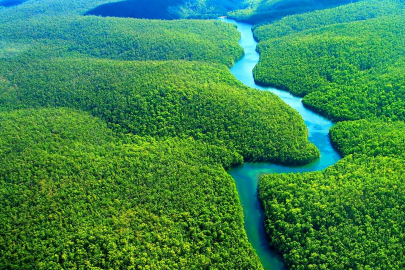 Araştırmalar endişe veriyor: Amazon için kritik dönem!