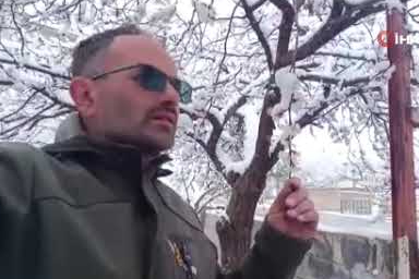 Çiçek açan ağaçlar yağan karla beyaza büründü