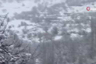 Malatya'da kayısı bahçeleri kar altında kaldı