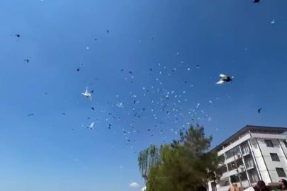 Bursa’da ilk toplu güvercin salımı görsel şölene dönüştü