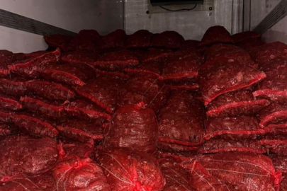 Bursa ve Balıkesir'de kaçakçılara darbe: 10 ton midye ele geçirildi