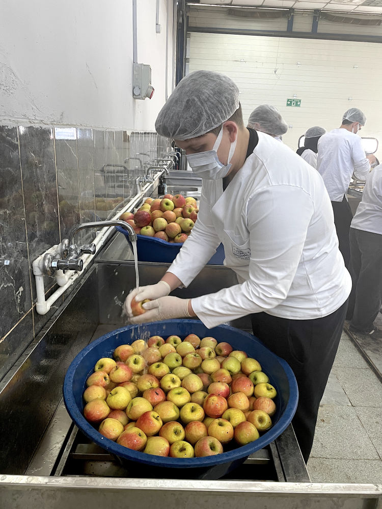 Bursa’daki tarım lisesi öğrencileri üretimi katma değere dönüştürüyor!-Bursa Hayat-4