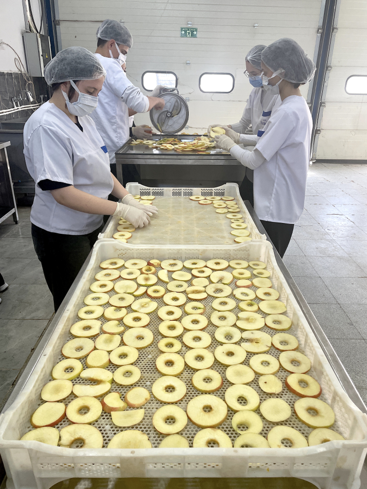 Bursa’daki tarım lisesi öğrencileri üretimi katma değere dönüştürüyor!-Bursa Hayat-3