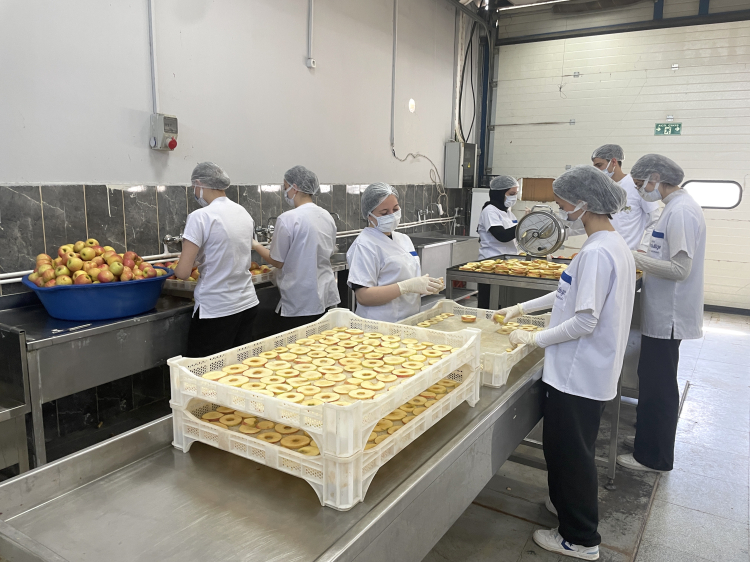 Bursa’daki tarım lisesi öğrencileri üretimi katma değere dönüştürüyor!-Bursa Hayat-2