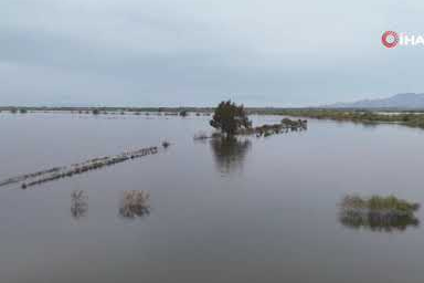 Suya hasret kalan topraklar göle döndü