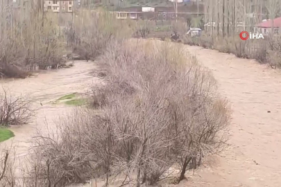 Habur Çayı yükseldi: Evler sular altında kaldı!