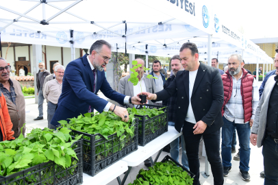 Kestel’den dünya pazarına ahududu çıkartması: 6 bin fidan dağıtıldı