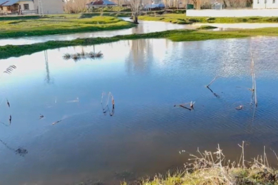Ağrı’da sağanak sele dönüştü! Yazılı Köyü sular altında