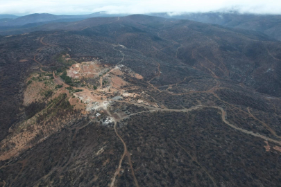 Bursa’da yanan Harmancık ve Orhaneli ormanları küllerinden doğuyor!