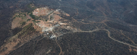 Bursa’da yanan ormanlar küllerinden doğuyor!