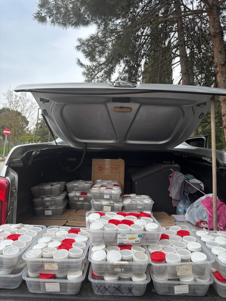 Bursa’da çamkese böceğine karşı biyolojik seferberlik!-Bursa Hayat-2