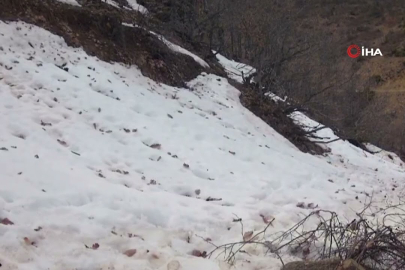 Doğanın gizli kahramanları fotokapanlara takıldı!