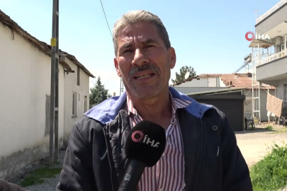 Göçmen leylekler yuvaya döndü!