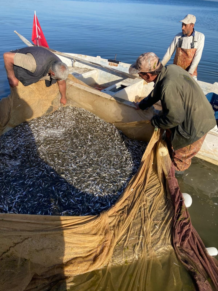 İznik Gölü’nde bereketli sezon başladı - Bursa Hayat - 4