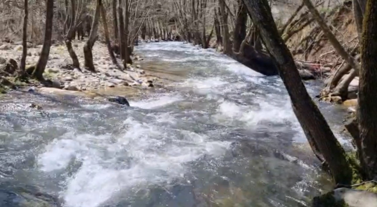 Yağmur bereketi Bursa barajlarına yansıdı - Bursa Hayat - 3