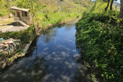 Orhangazi’den Gemlik’e uzanan Karsak Deresi can çekişiyor!