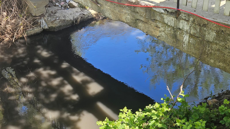 Orhangazi’den Gemlik’e uzanan Karsak Deresi can çekişiyor!-Bursa Hayat-3