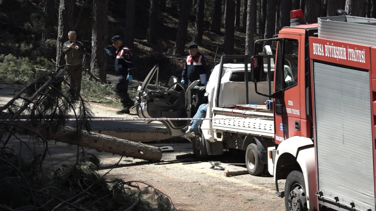 Bursa'da kesilen ağaç can aldı! - Bursa Hayat - 3