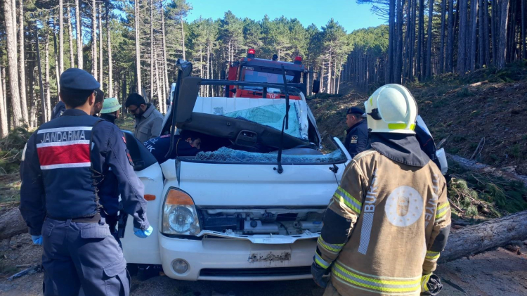 Bursa'da kesilen ağaç can aldı! - Bursa Hayat - 6