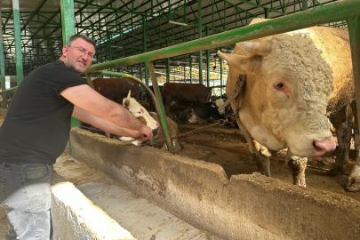 Deveden bile daha ağır! Bursa’da uygun fiyatlı kurbanlık satışı