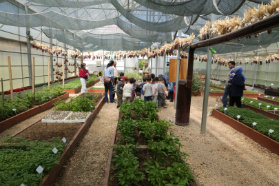 Osmangazi’de minikler uygulamalı tarım eğitimiyle toprakla buluştu