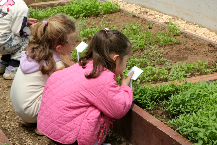 Osmangazi’de minikler uygulamalı tarım eğitimiyle toprakla buluştu - Bursa Hayat Gazetesi-4