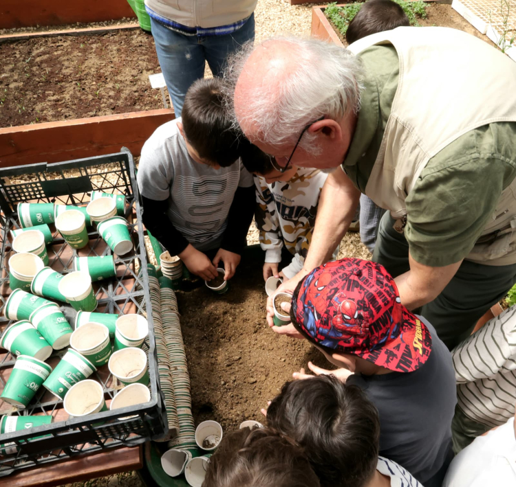 Osmangazi’de minikler uygulamalı tarım eğitimiyle toprakla buluştu - Bursa Hayat Gazetesi-5