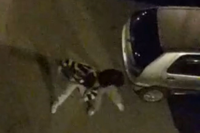 Bursa’da mahalle boks ringine döndü!