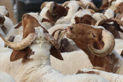 Milyonların beklediği karar açıklandı: Bayram tatili kaç gün oldu?