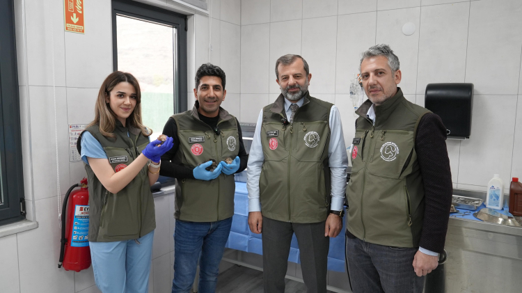 Bursa’da yürek ısıtan anne kedi hikayesi-Bursa Hayat-2