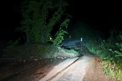 Bursa Kestel'de heyelan! Toprak ve ağaç gövdeleri yolu kapattı