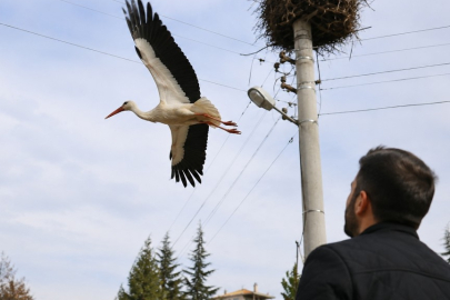 Akıma kapılan leyleğin inanılmaz kurtuluş hikayesi!