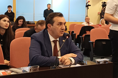 Meclis'te sokak köpeği tartışması