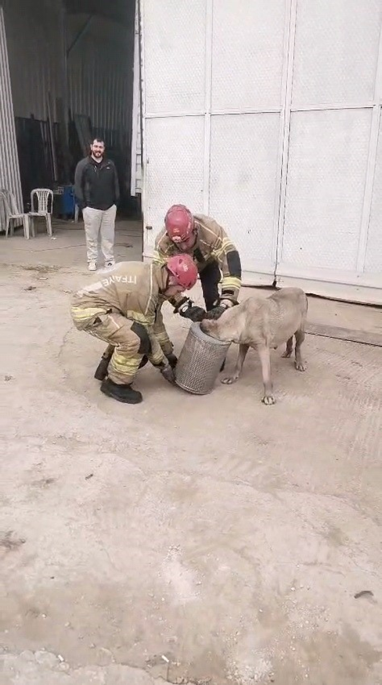 Bursa’da yürek ısıtan kurtarma operasyonu!-Bursa Hayat-2