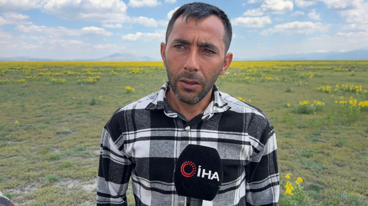 Eber sarısı için sert uyarı: Koparma cezası dudak uçuklattı!-Bursa Hayat-3