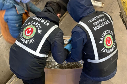 Gümrüklerde zehir tacirlerine geçit yok!