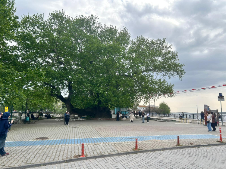 Bursa'da doğayla iç içe bir kaçış noktası: Gölyazı her mevsim büyülüyor - Bursa Hayat Gazetesi-2