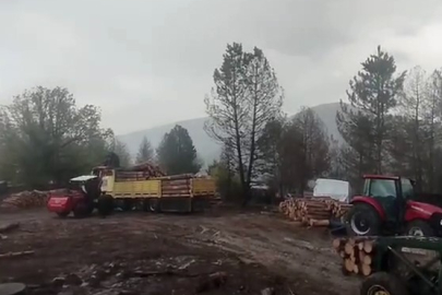 Orman işçilerinin yanına yıldırım düştü!