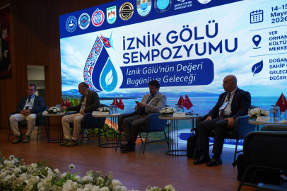 İznik Gölü alarm veriyor mu? Bilim insanları masaya yatırdı