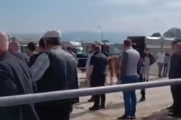 Bursa kurbanlık pazarında ortalık karıştı: Jandarma havaya ateş açtı