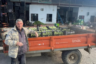 Bursa'da yazın ilk hasadı başladı, fiyatlar memnun etti