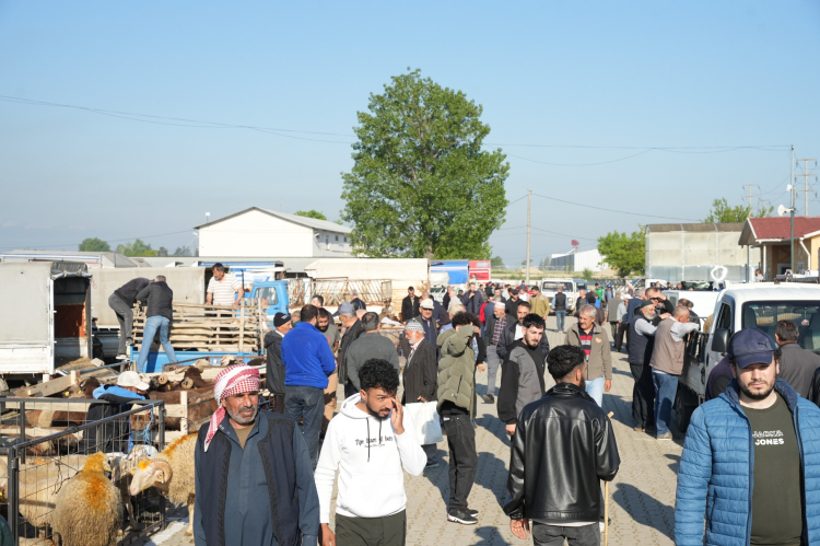 Yenişehir’de kurban mesaisi tamamlandı - Bursa Hayat - 2