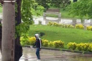 Sahilde yürüyenlerin başına bela olan karga kameralarda