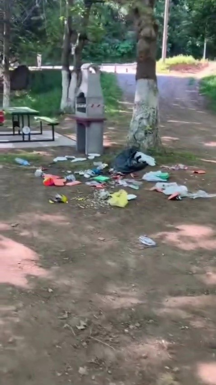 Bursa’da utandıran manzara... Piknik sonrası geriye kalan pes dedirtti - Bursa Hayat - 4