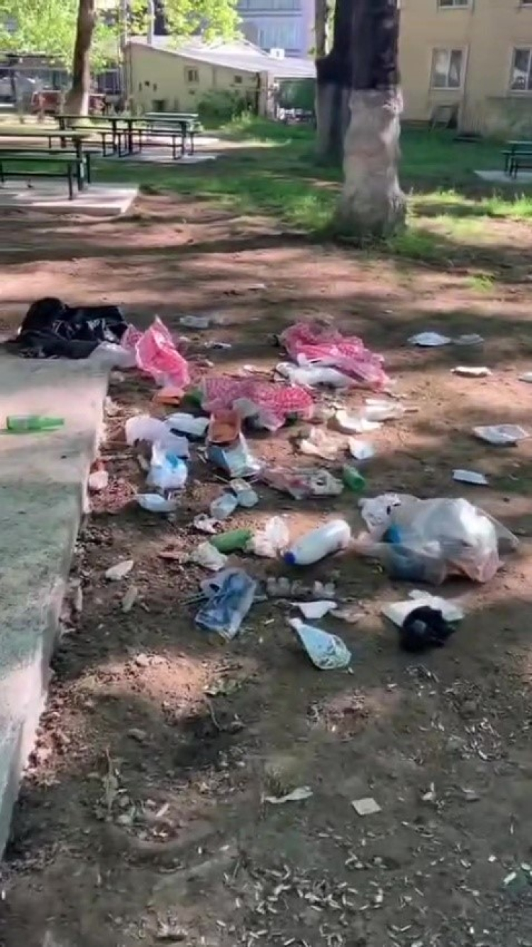Bursa’da utandıran manzara... Piknik sonrası geriye kalan pes dedirtti - Bursa Hayat - 5