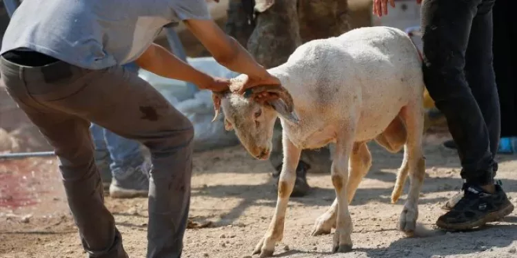Nilüfer, Osmangazi, Yıldırım… Bursa'da kurban kesim yerleri belli oldu - Bursa Hayat - 6